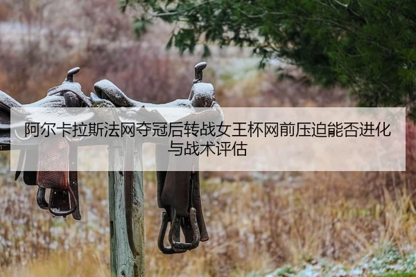a-er-ka-la-si-fa-wang-duo-guan-hou-zhuan-zhan-nv-wang-bei-wang-qian-ya-po-neng-fou-jin-hua-yu-zhan-shu-ping-gu-2-183.jpg